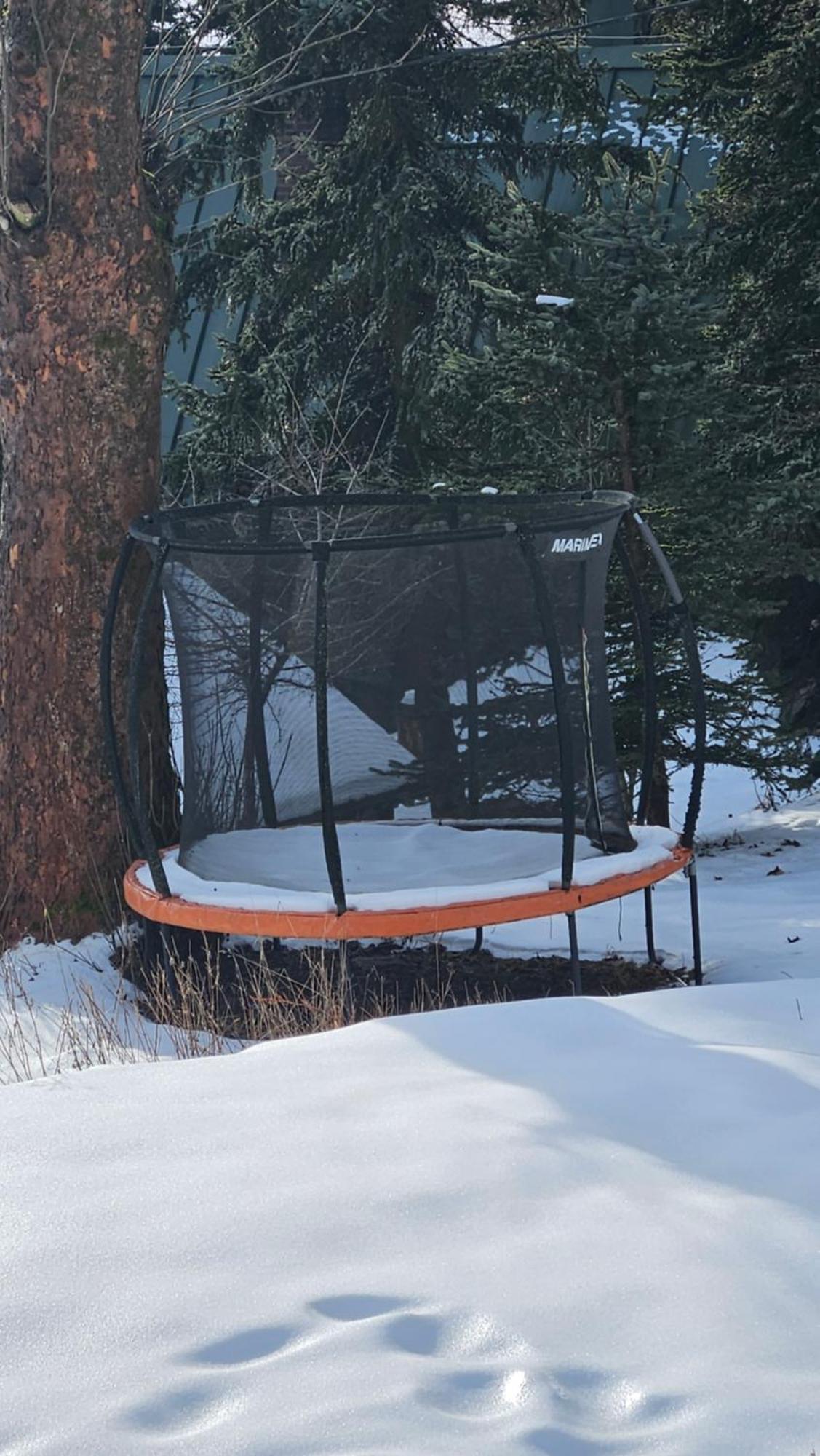 Five Maple For Families And Wild Nature Lovers Medenec