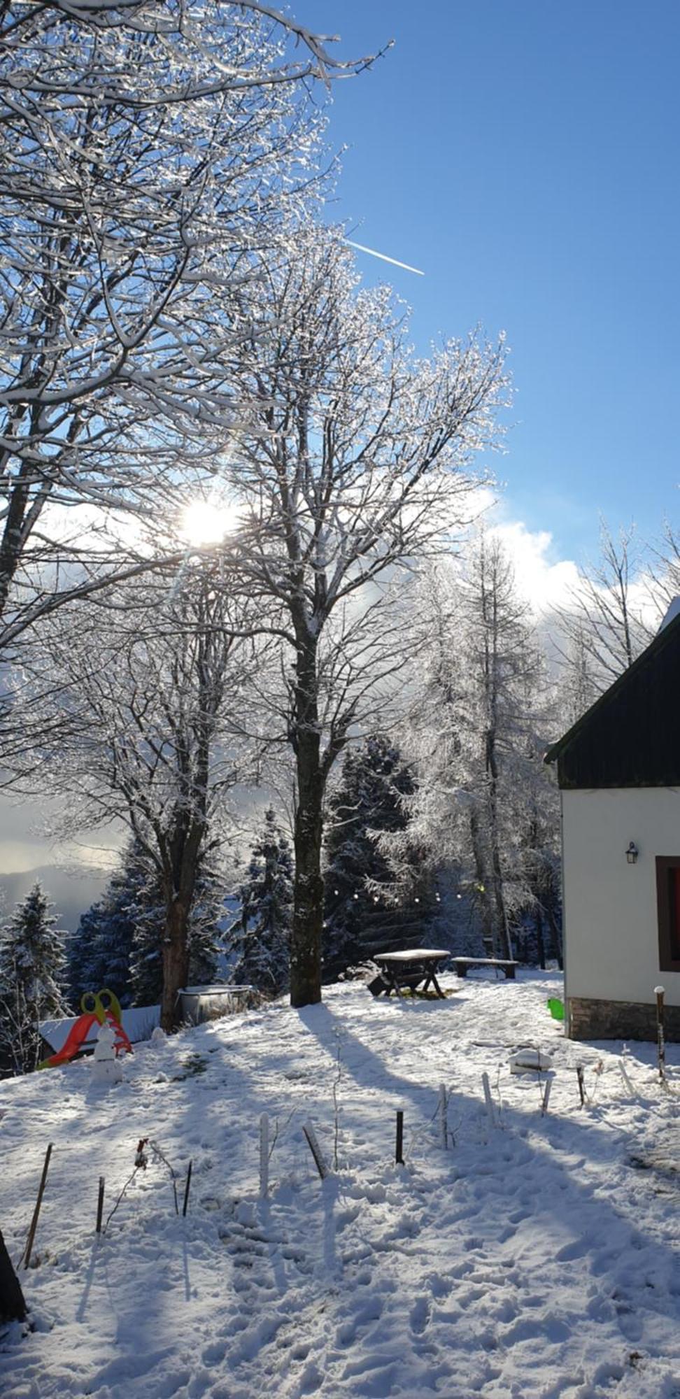 Five Maple For Families And Wild Nature Lovers Holiday home Medenec