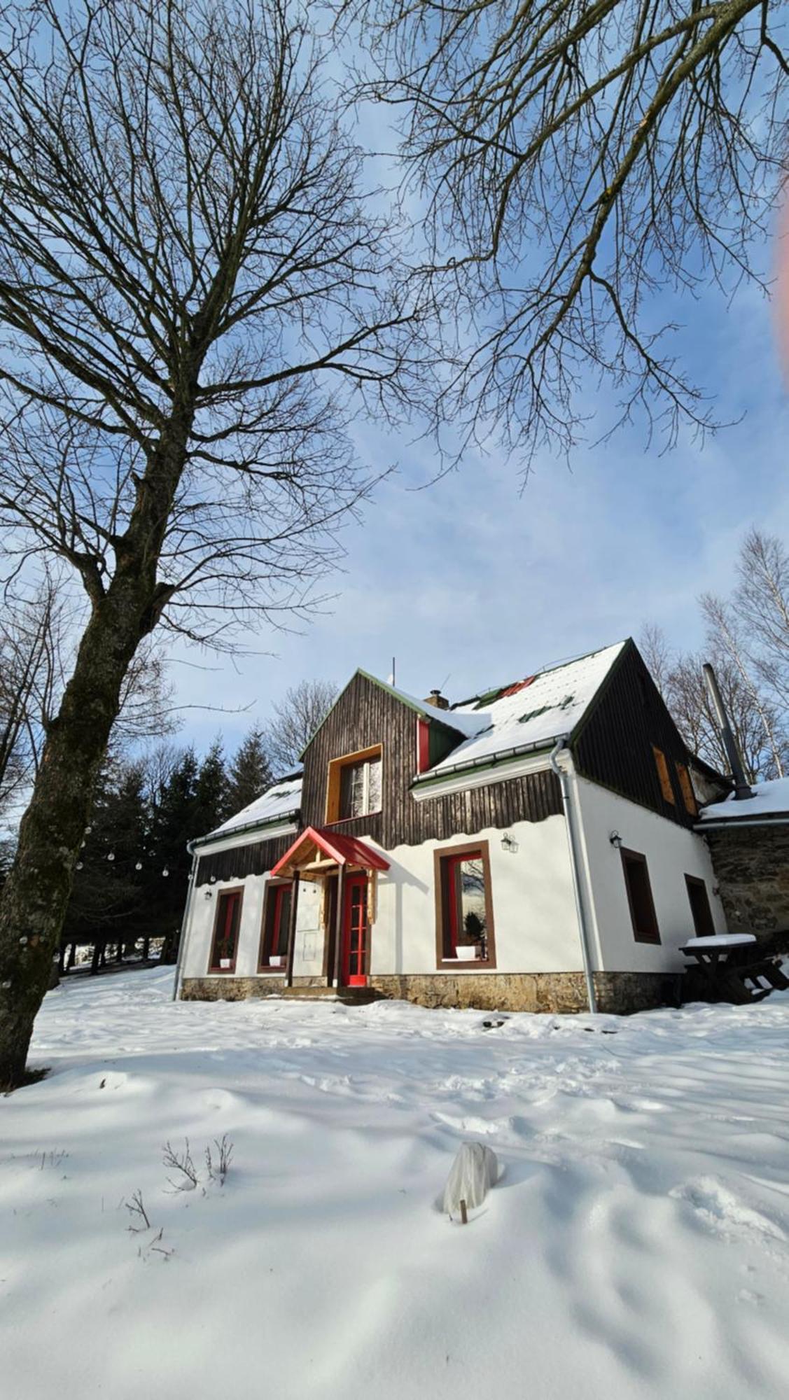Five Maple For Families And Wild Nature Lovers * Medenec